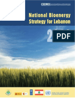 Executive Summary Bioenergy for Lebanon