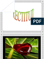 Presentación Sobre La Rectitud.