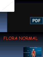 Flora Normal 2008