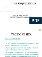 Aula Ps-graduao Em Anatomia Osteologia i