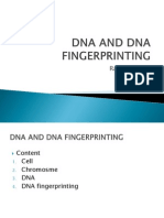 Dna and Fingerprinting