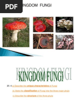 11.4 Kingdom Fungi