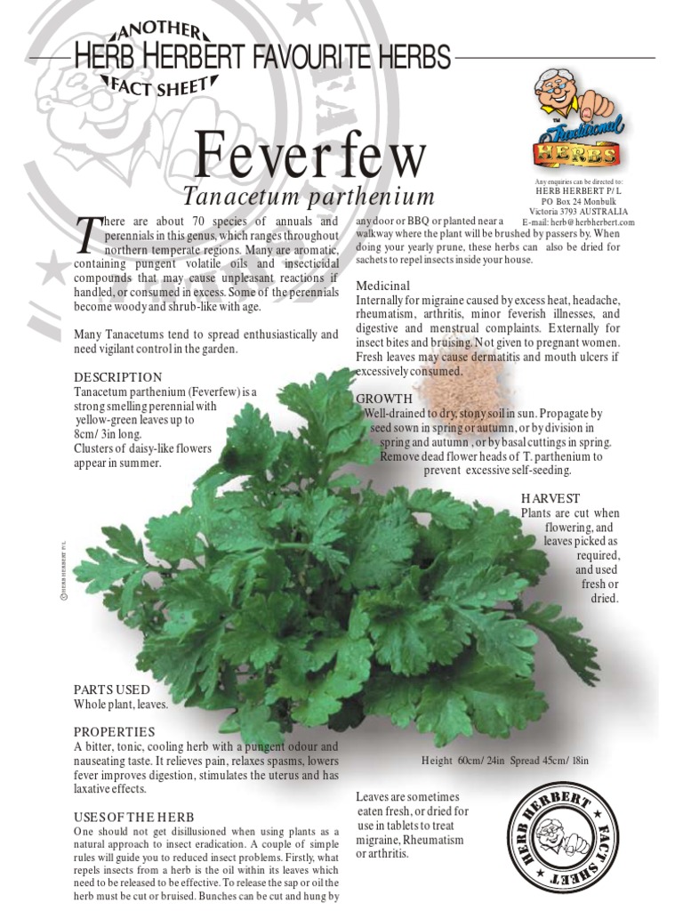 Fever Few | PDF | Home & Garden