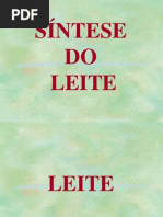 Apresentação - Síntese do Leite - Power Point