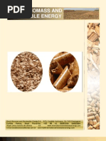 Download 2009 Brazil Biomass - Wood Chips-Pellets-Briquette by mar4478 SN11546365 doc pdf