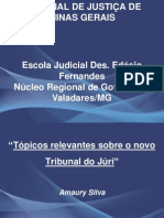 Novo Tribunal Do Juri