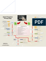 Astral Process Map PDF