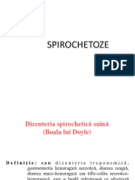 SPIROCHETOZE