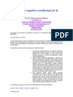 Tratamiento Cognitivo Conductual de La Agresividad