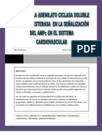 Acs y Fosfodiesterasa en El Sistema Cardiovascular