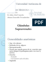 Glándulas suprarrenales