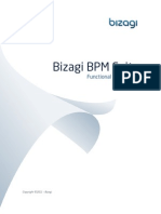 BizAgi Functional Description