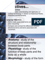 Anatomical Positions-Nov12 (1)