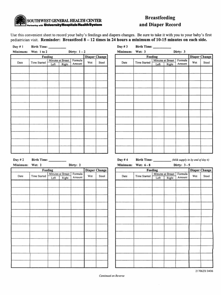 Breast Feeding and Diaper Record PDF