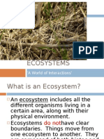 Ecosystems: A World of Interactions'