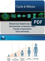 Cell Cycle & Mitosis