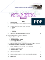 Monografia Anestesia Obstetrica Trabajo Final
