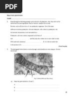 As Biol Unit 2 Example Questions