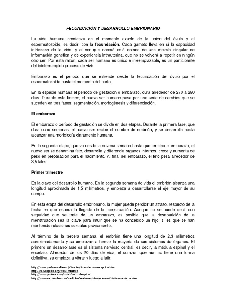 Guía N3