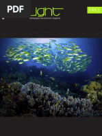 Download TheLight Photography Magazine 9 by Joko Riadi SN11566845 doc pdf