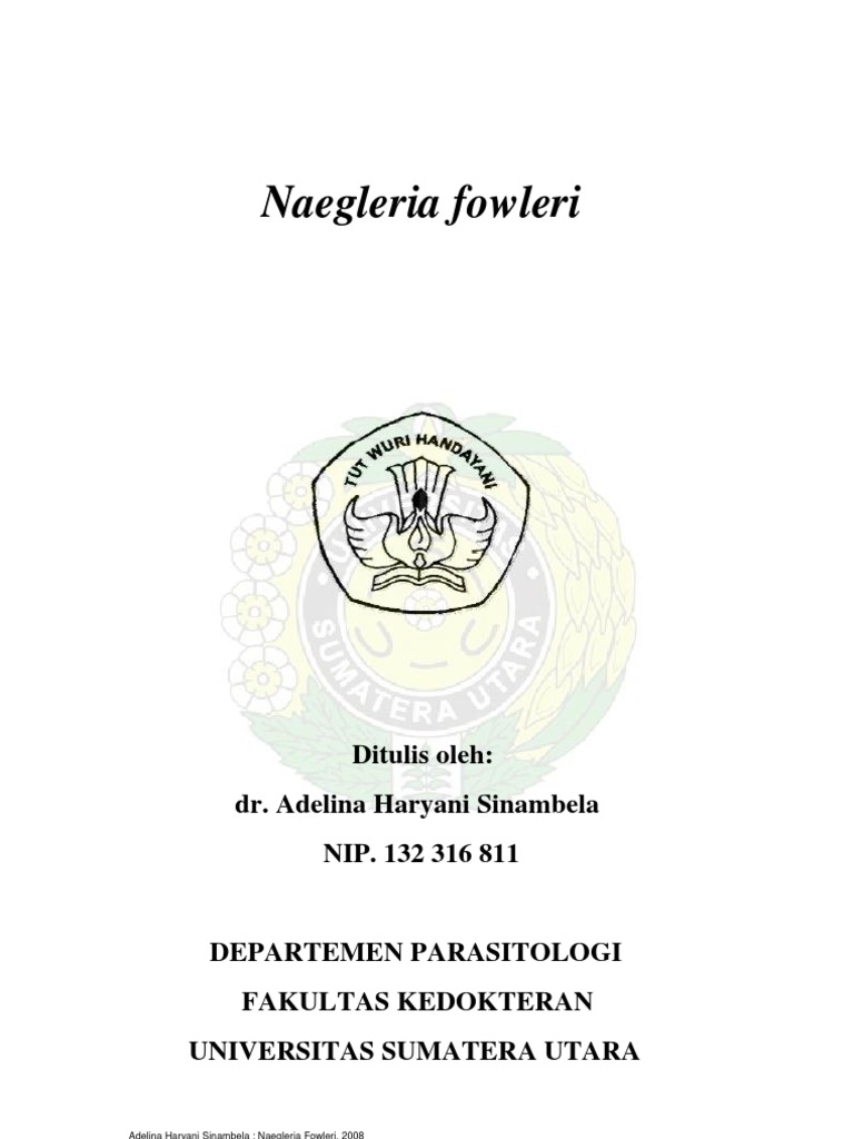 Naegleria Fowleri | PDF