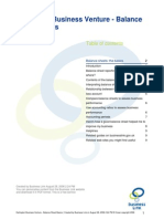 Darlington Business Venture Balance Sheet Basics