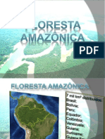 02 Floresta Amazônica