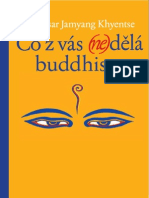 Co Z Vás (Ne) Dělá Buddhistu