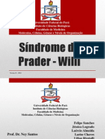 Síndrome de Prader - Willi