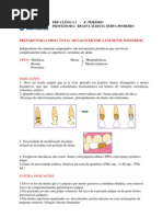 Download 6a Aula Preparo Para Coroa Total Metaloceramica Em Dente Anterior 1 by Gigi Barros SN115838731 doc pdf