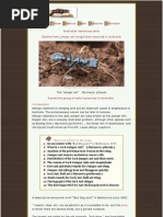 Download Lethal Ants of Australia by r8km6 SN11585526 doc pdf