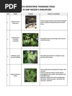 Tanaman Obat / Toga (Tanaman Kesehatan)