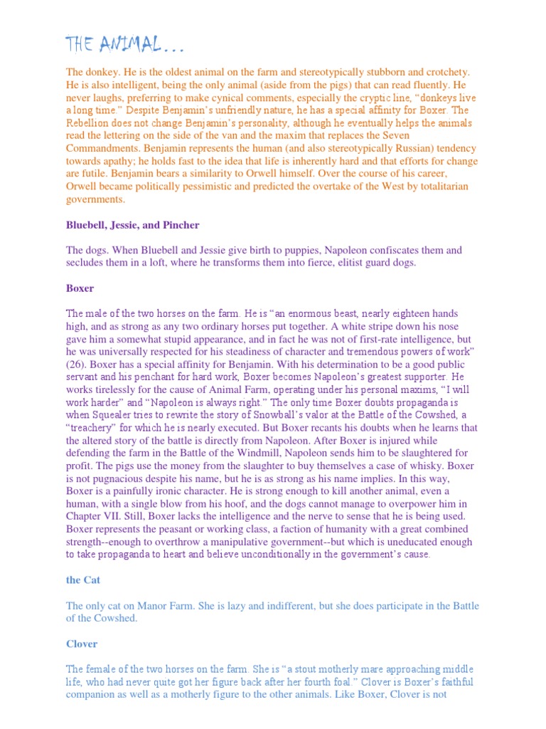 The Donkey | PDF | History
