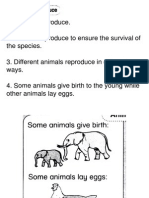 Animal Reproduce