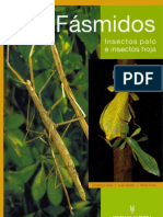 Fásmidos Insectos Palo e Insectos Hoja (LEER CTRL+L)