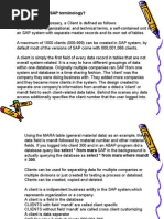 What Is Client in SAP Terminology?
