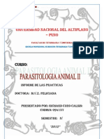 Universidad Nacional Del Altiplano Parasitologia II