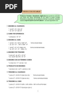 19158329 Productos Notables