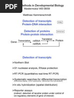 Download DNA mRNA Protein by arunred20 SN11600026 doc pdf
