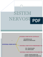 Sistem Nervosum2