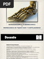 Biomecanica Basica Del Sistema Muscoesqueletico Nordin Pdf To Excel