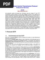 SCTP_EFORT