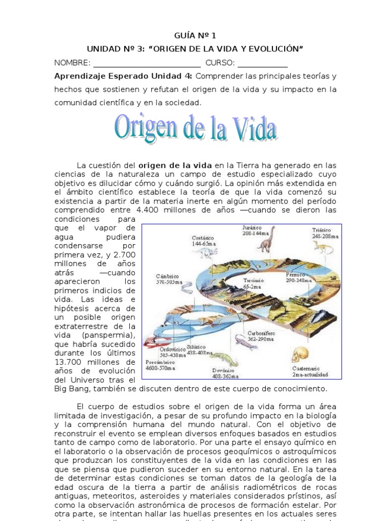 Actividades sobre el Origen de la Vida | PDF | Abiogénesis | Vida