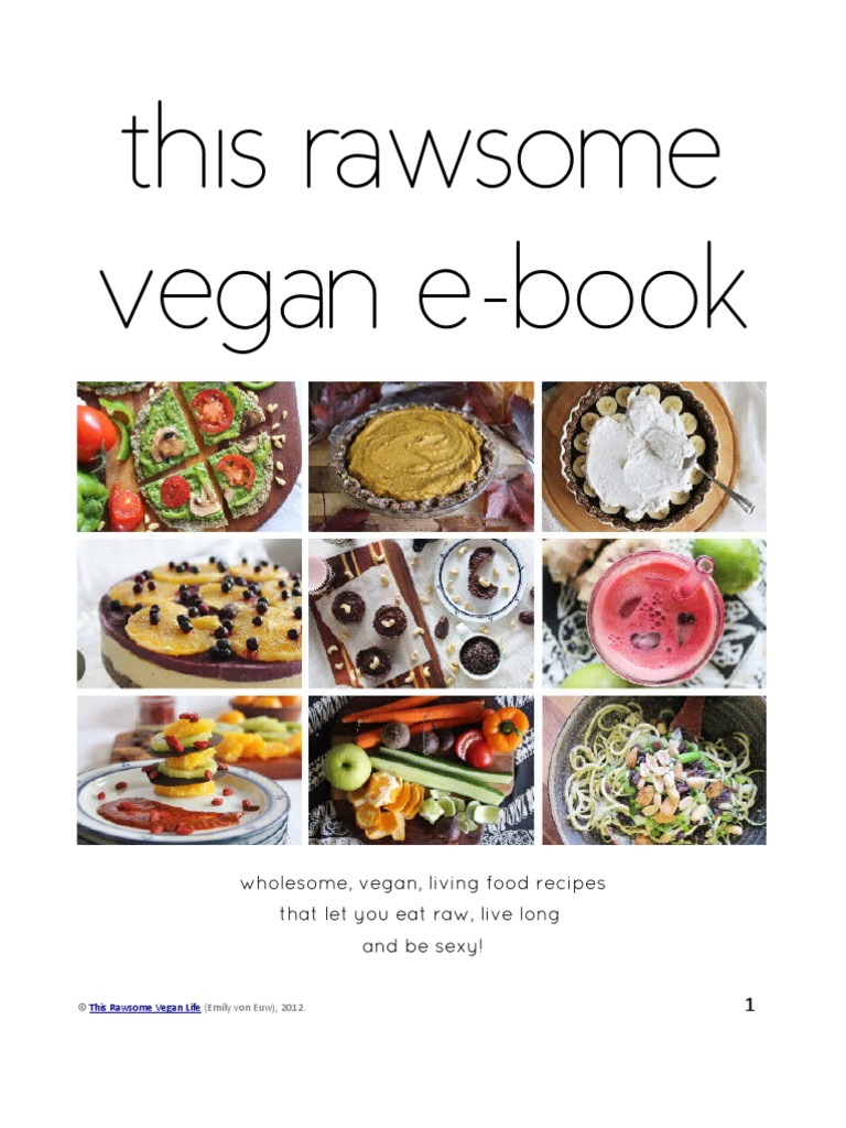 Vegan Food in Your Vitamix by Emily von Euw