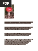 Download macam-macam jamur by Bagus Setiawan SN116067279 doc pdf