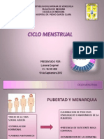 Seminario Ciclo Menstrual