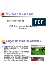 Valoracion_toxicologica