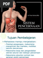 Download Sistem Pencernaan by shindrummer SN116098187 doc pdf