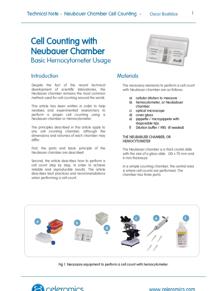 Cell Counting Neubauer Chamber PDF Laboratories Optics