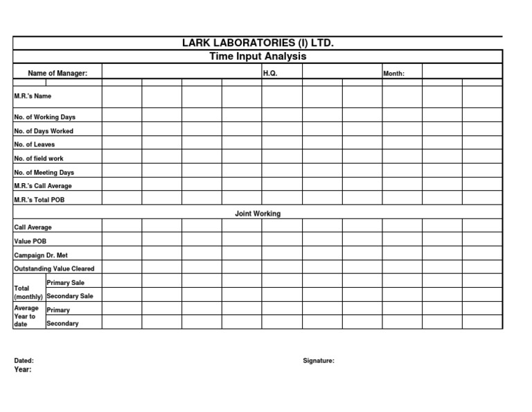 Sales and Field Work Report | PDF
